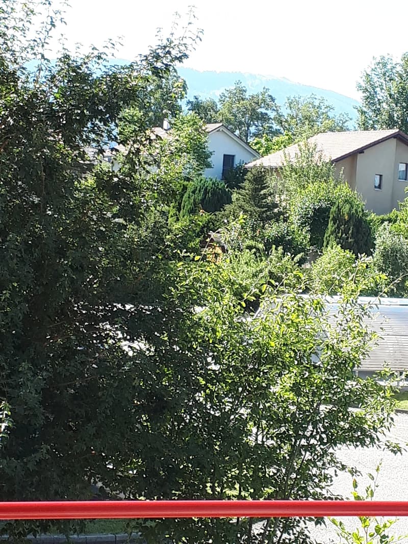 View from a balcony or terrace showing lush green trees and shrubs, with houses and mountains visible in the background.