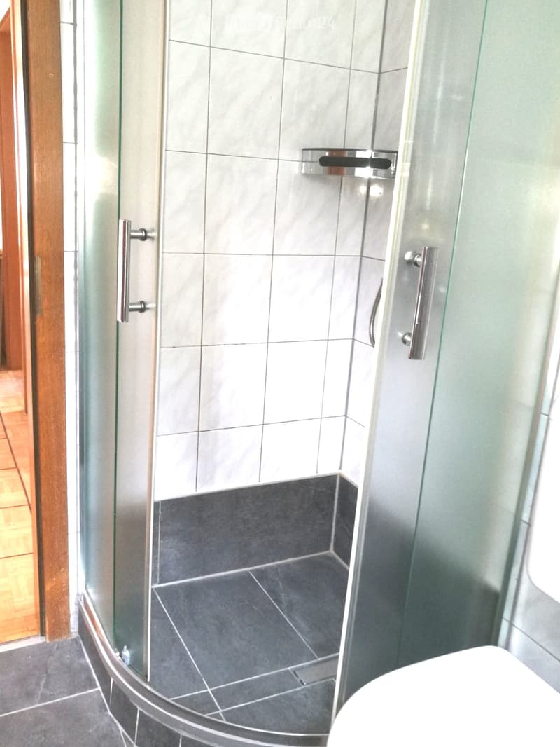 Modern bathroom with a glass-enclosed shower stall, grey tiles, and chrome handles.