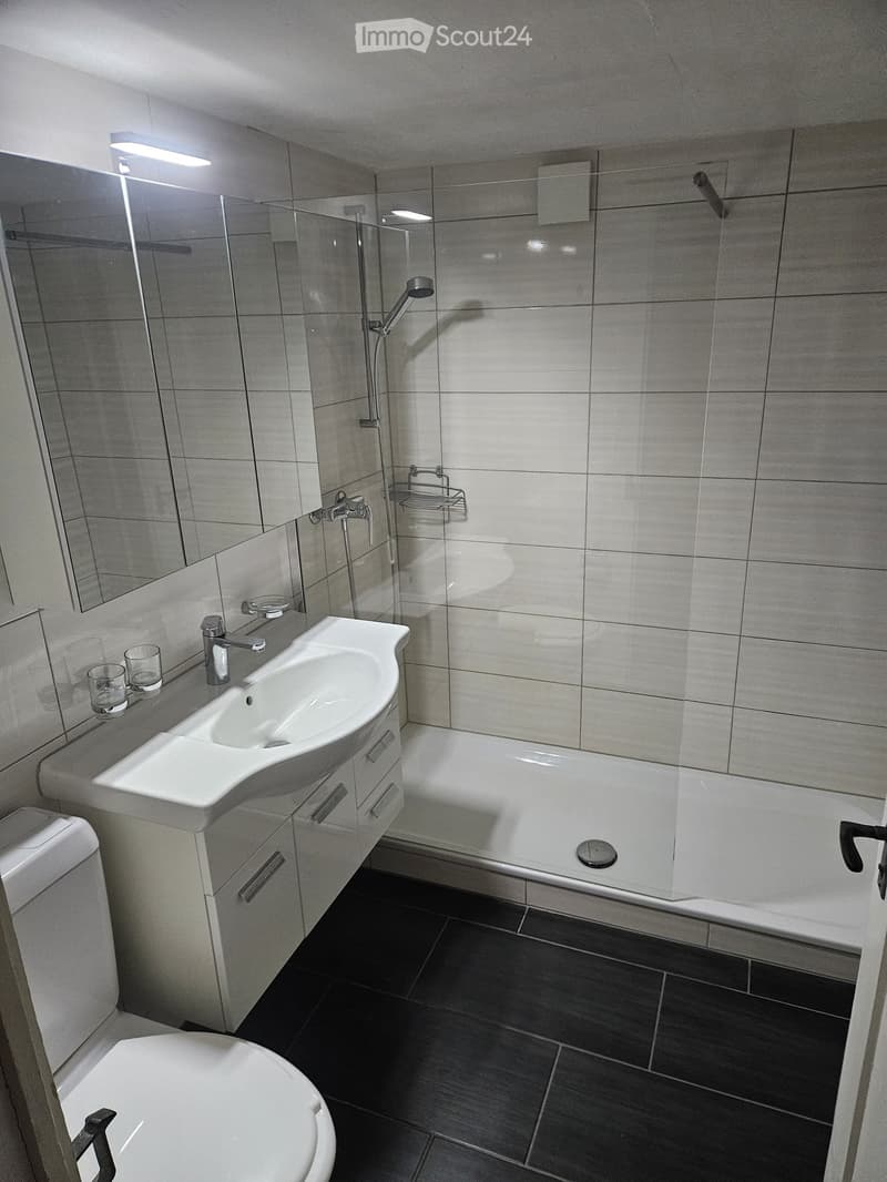 Modern bathroom with a white sink, mirror, bathtub, and toilet. Features include a glass shower enclosure, sleek fixtures, and dark tiled flooring.
