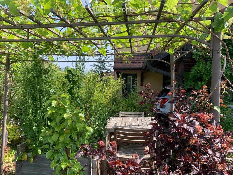 A lush garden area with a wooden pergola covered in vines, a wooden table and chairs, and various plants and flowers.