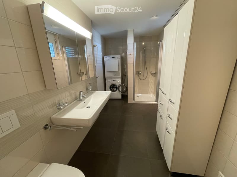Modern bathroom with a white sink, large mirror, built-in cabinets, a washing machine, and a glass-enclosed shower area.