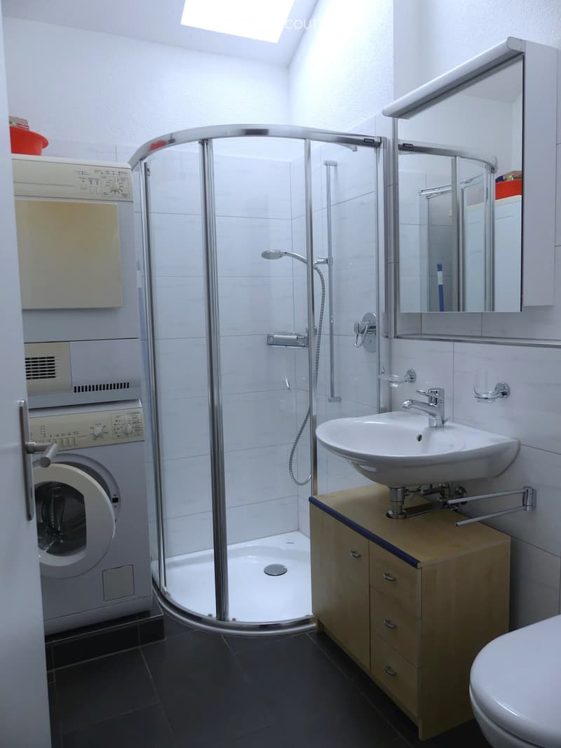 Komfortable Dusche/WC mit Waschmaschine und Tumbler