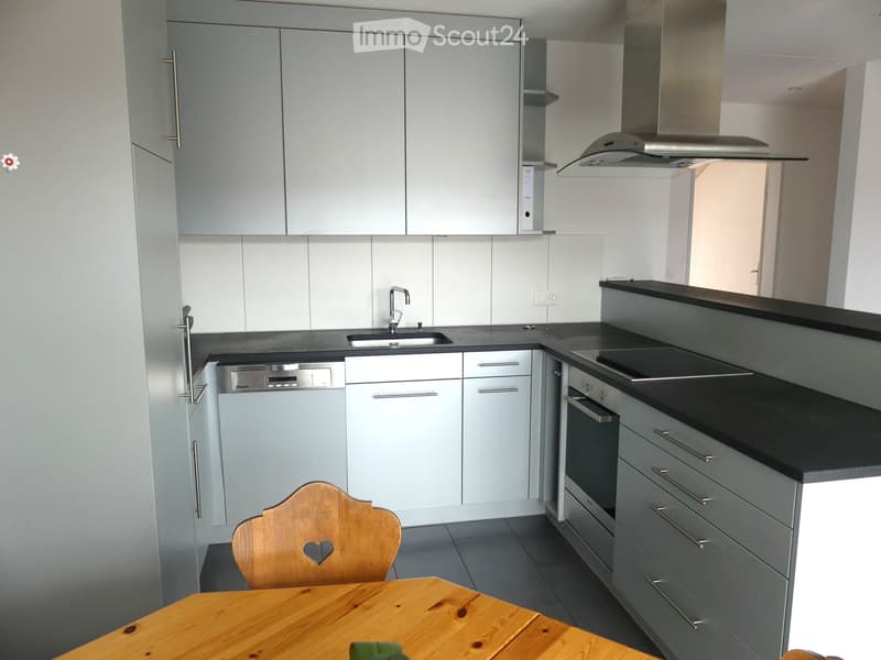 Ambiance de station balnéaire au quotidien : appartement mansardé lumineux à proximité de Bad Zurzach et Baden. (4)