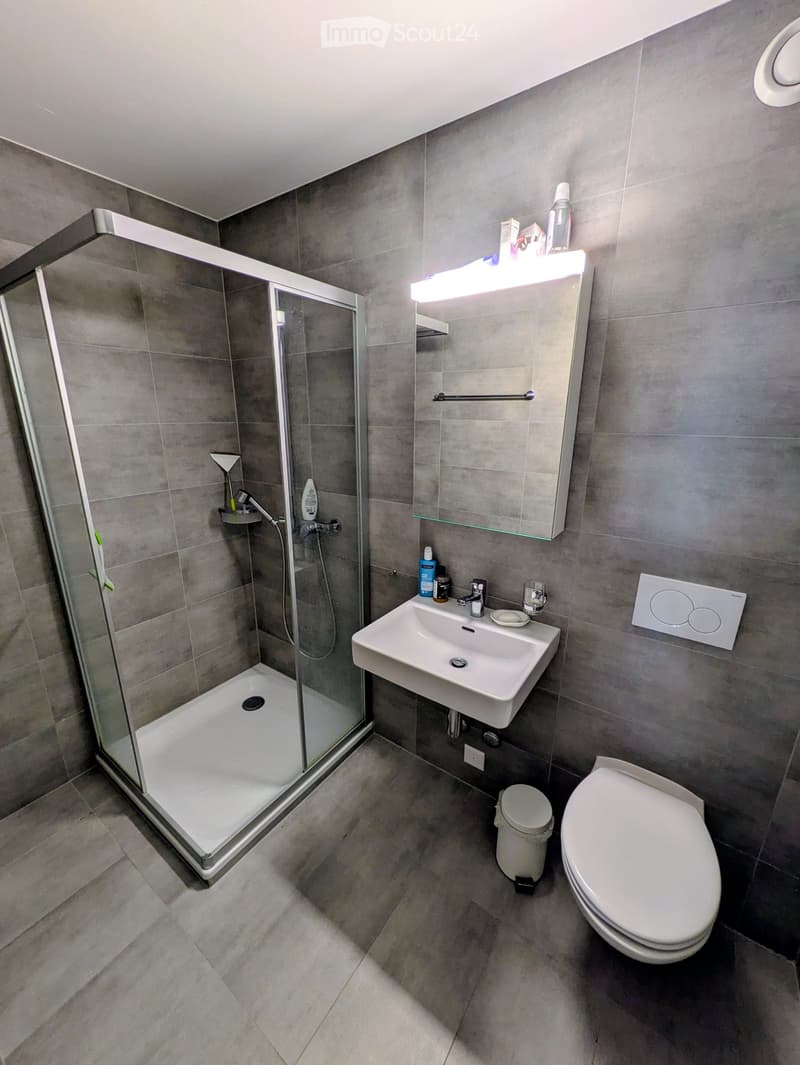 Modern bathroom with grey tiles, a glass-enclosed shower, a white sink, a toilet, and a mirror with shelves above it.