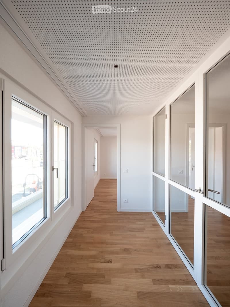 Bright, modern hallway with wooden flooring, white walls, large windows, and glass doors leading to adjacent rooms.