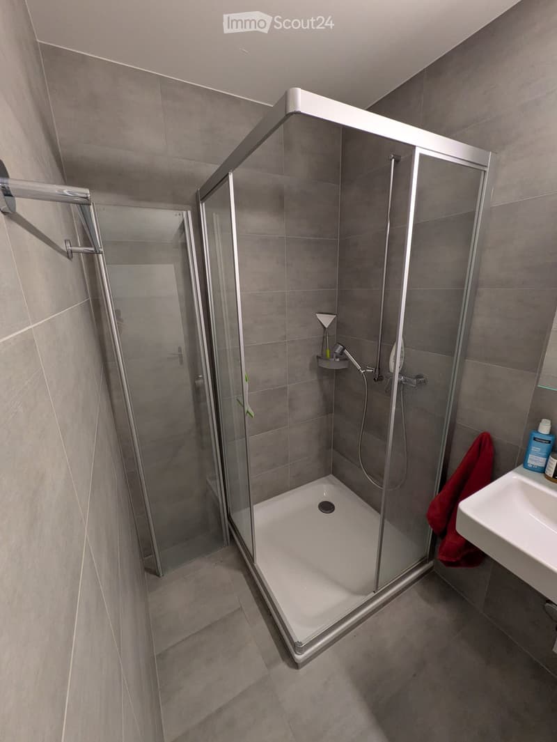 Modern bathroom with a glass-enclosed shower, white sink, and a red towel on the counter.