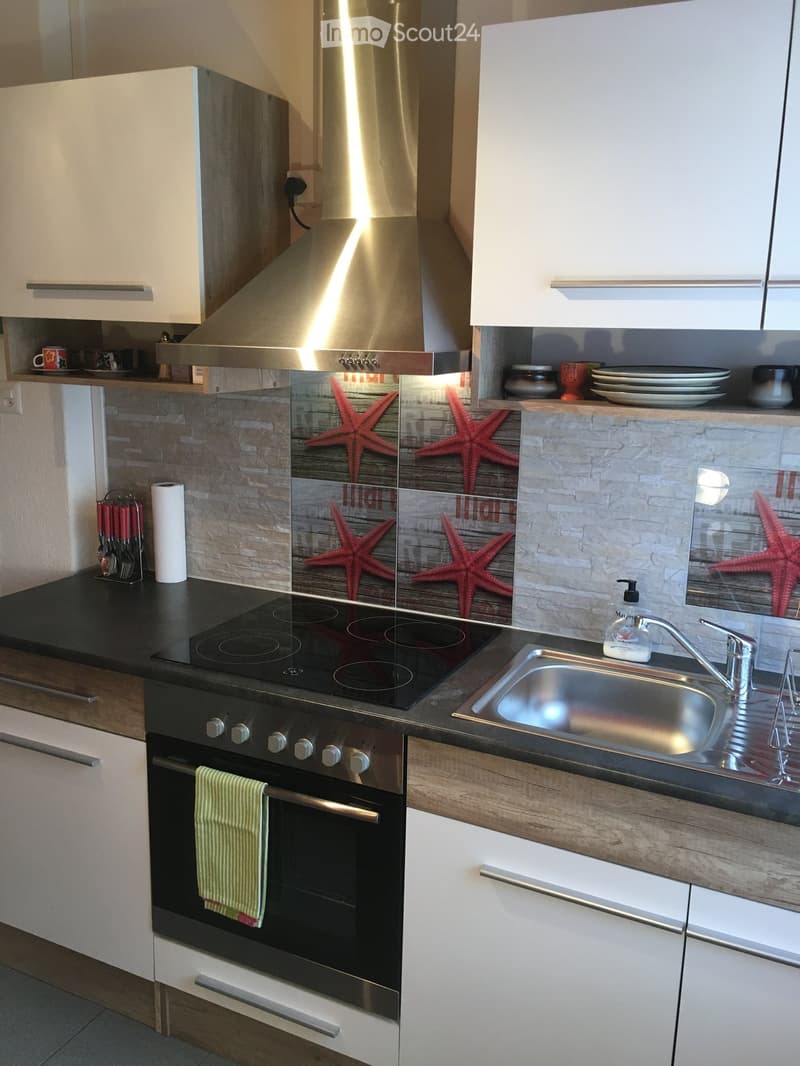 modern kitchen, white cabinets, black countertops, stainless steel appliances, starfish wall tiles, sink, faucet, dishwasher, washing machine