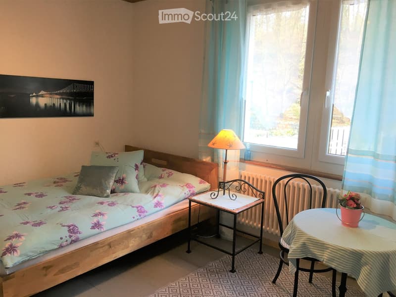 single bed, nightstand, lamp, chair, table, radiator, window, curtains, picture, rug