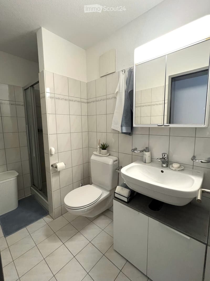 Modern bathroom with white tiles, a toilet, a sink with a mirror cabinet, a shower area, and a small plant on the toilet tank.
