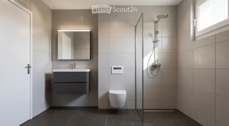 Modern bathroom with grey tiles, a dark grey vanity with a sink, a mirror above it, a toilet, and a glass-enclosed shower with a modern showerhead.