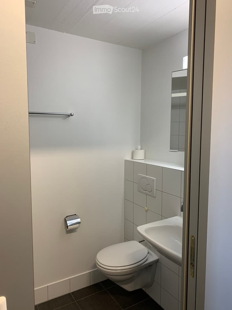 Modern, compact bathroom with white tiled walls, a toilet, a sink with a mirror, and a toilet paper holder.