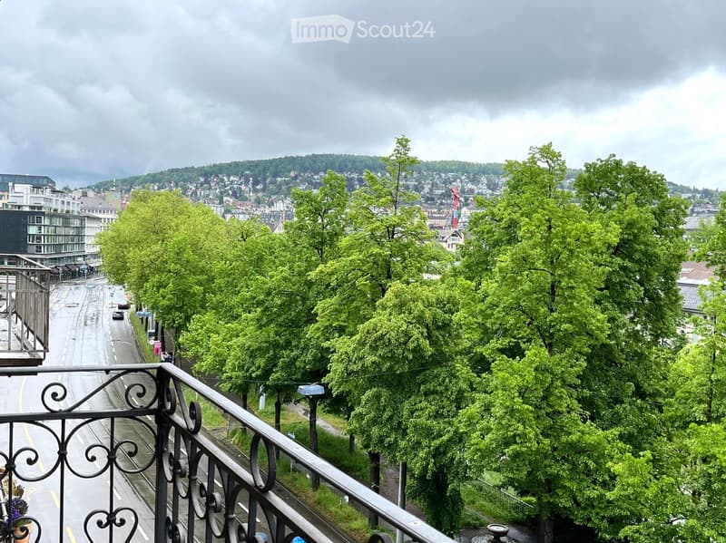 I wanna live in the heart of Zurich (7)