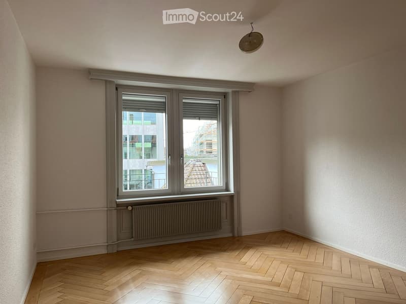 I wanna live in the heart of Zurich (6)