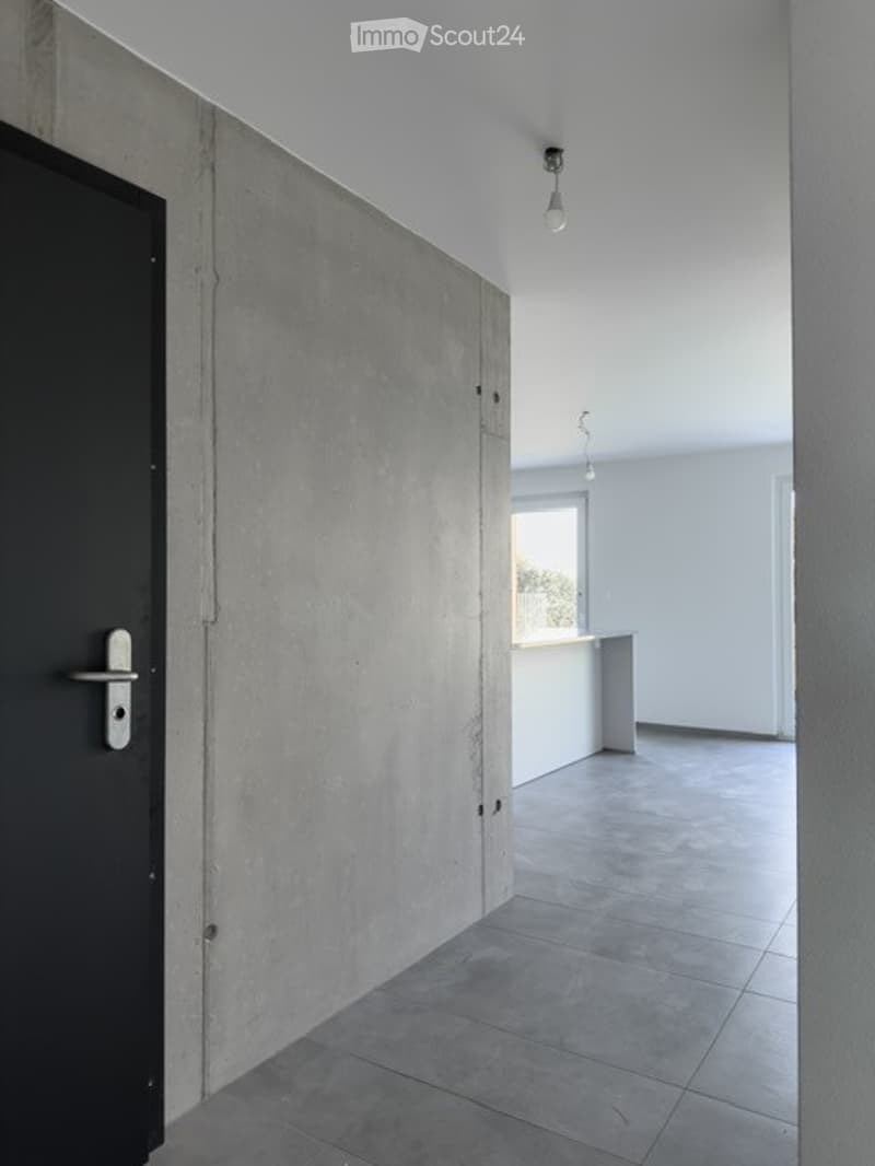 Duplex/maisonette a Payerne (22)
