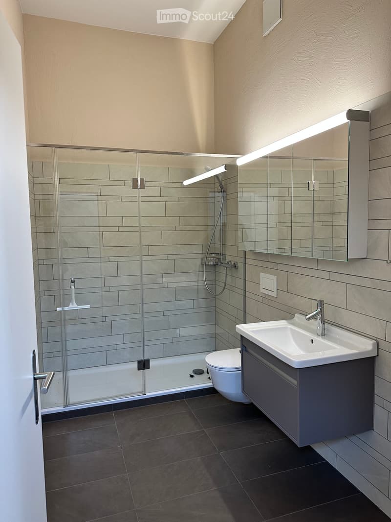 Modern bathroom, fully tiled, glass walk-in shower, built-in vanity with sink, toilet, mirror, and lighting fixtures