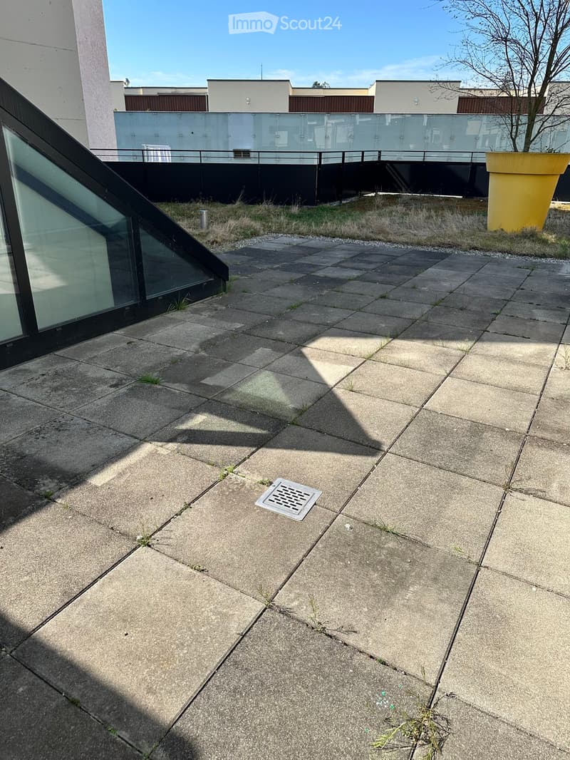 paved area with a drain, grassy area, large tree, shadow of a glass wall