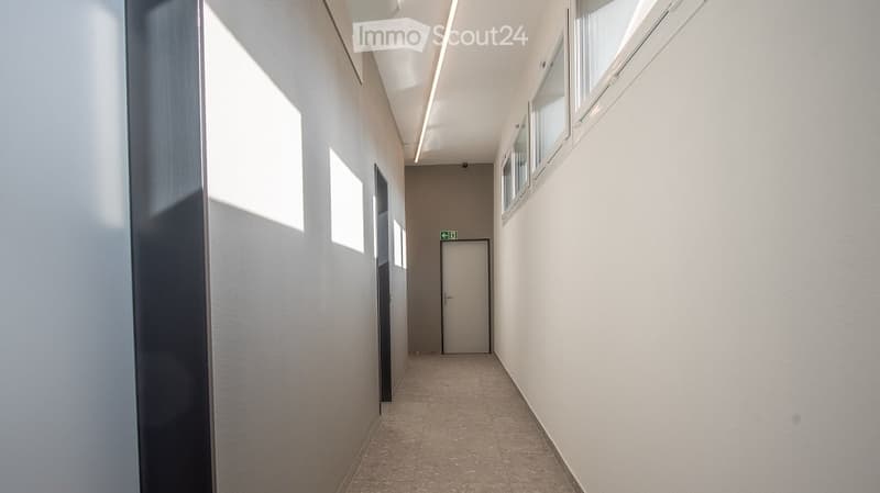 Empty corridor, white walls, ceiling light, doors, windows