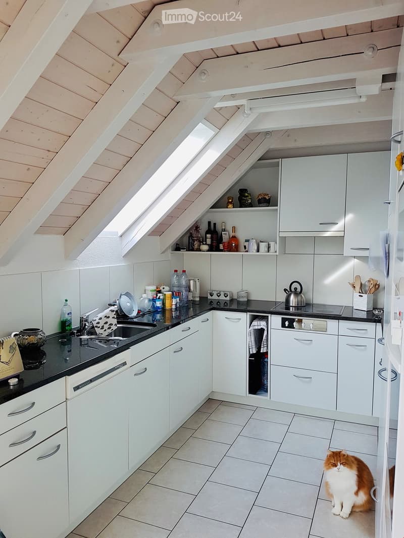 Modern kitchen with white cabinets, black countertops, and a cat sitting on the floor. Features include a sink, oven, dishwasher, and various kitchen items on the counters and shelves.
