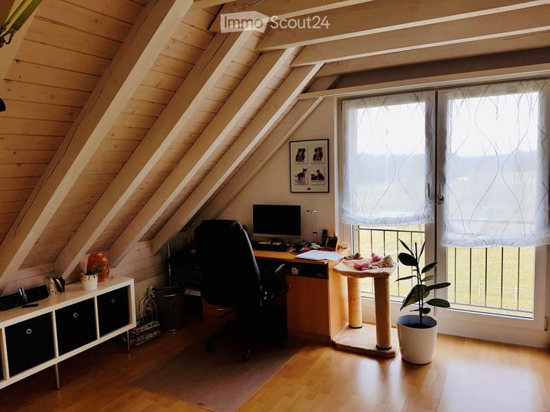 Cozy attic room with wooden slanted ceilings, large window with sheer curtains, desk with computer and chair, cat tree, potted plant, and small cabinet.