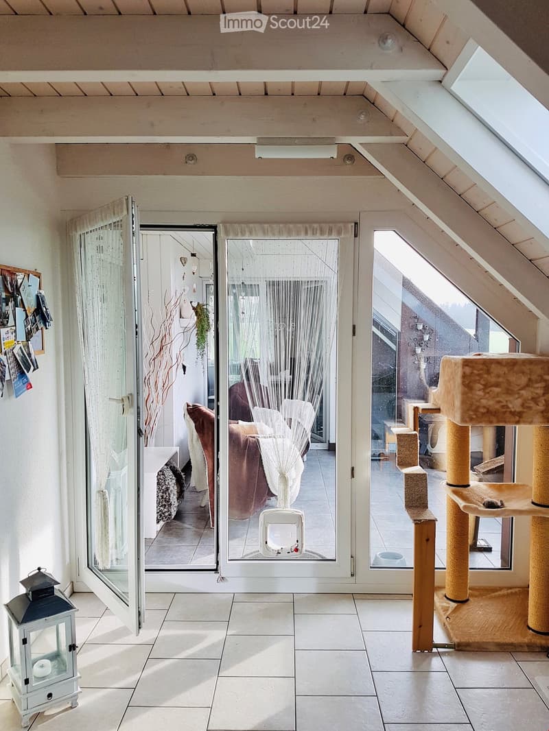 Bright, airy room with large windows and sliding glass doors leading to another room. Features a cat tree, a white lantern, and a cat litter box.