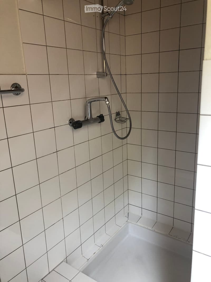 Modern bathroom with a bathtub, tiled walls, a handheld showerhead, and a handrail for safety.