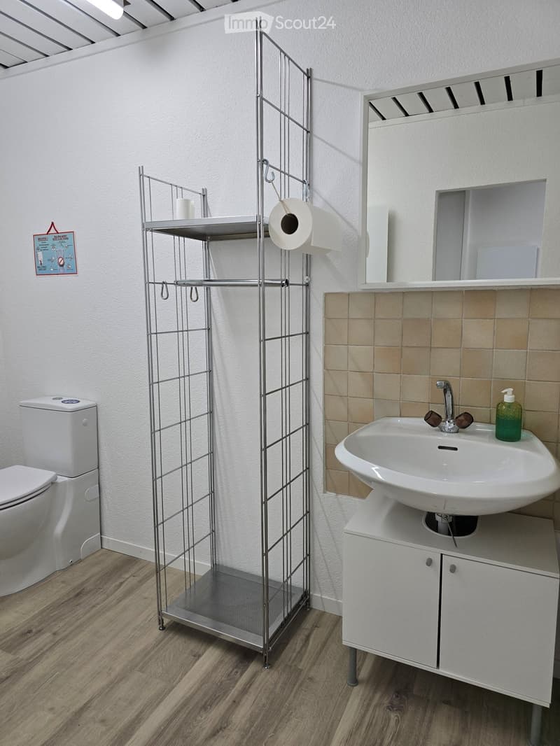 Modern bathroom with a white toilet, a sink with a mirror above it, a metal shelf holding a roll of toilet paper, and a soap dispenser on the sink counter.