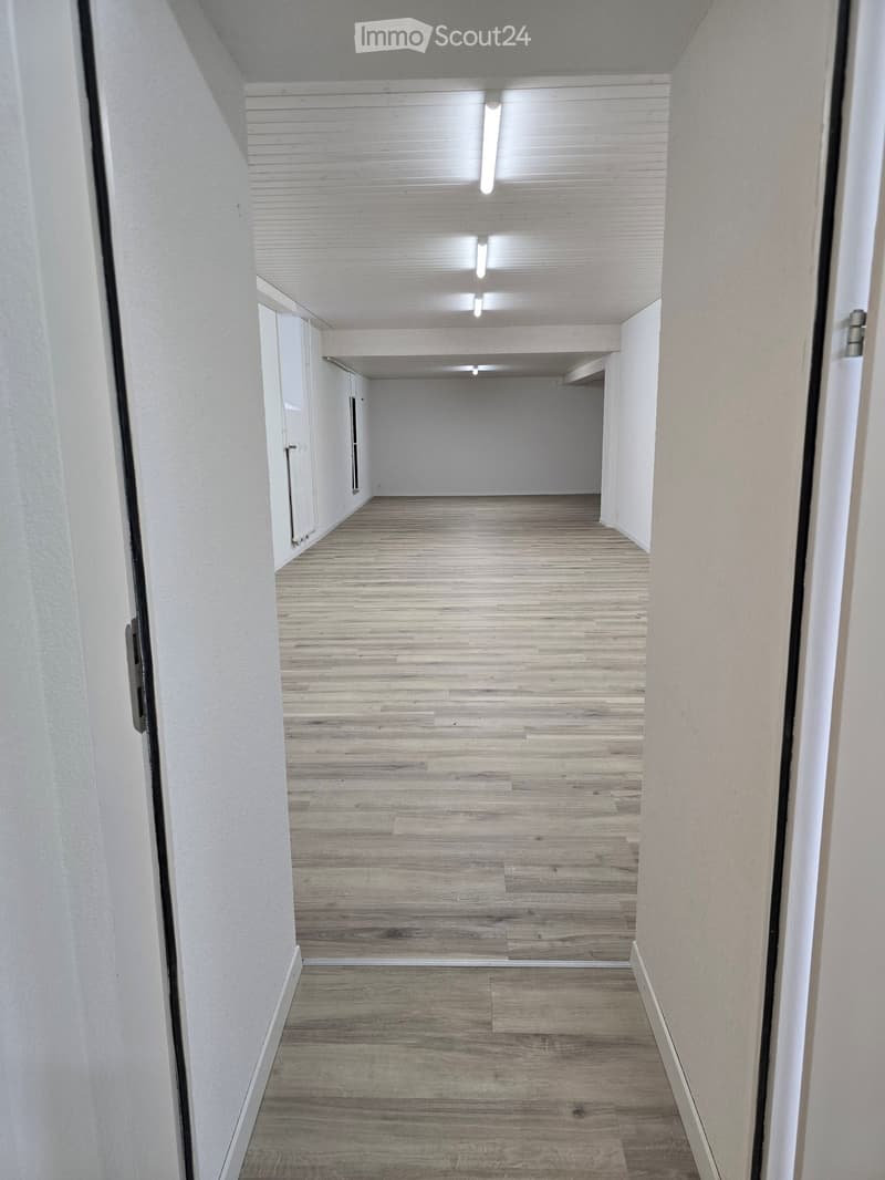 Empty hallway with light wooden flooring and white walls, featuring recessed lighting and doors on both sides.