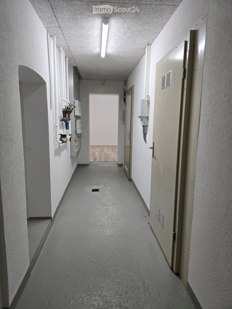 Empty hallway with white walls, grey concrete floor, and a single overhead light. There are several doors and a visible room at the end with wooden flooring.