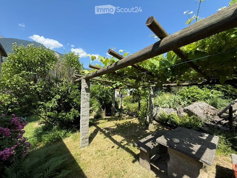 A lush garden with wooden pergola, stone bench, and various greenery, including bushes and trees, under a clear blue sky.