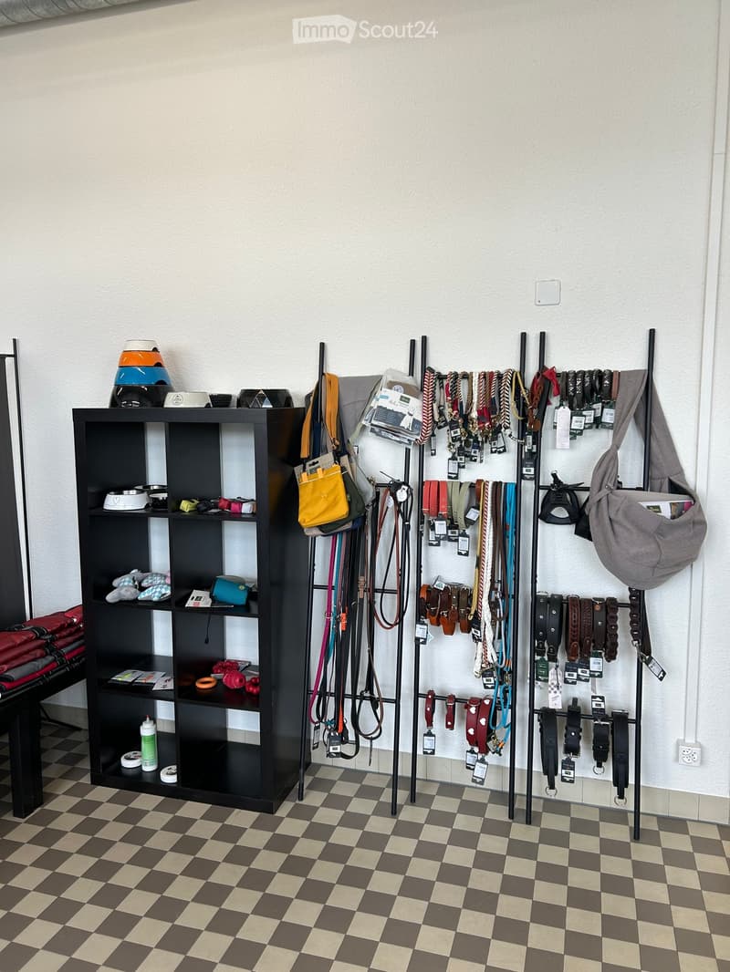 A pet store display area with a black shelving unit holding pet supplies, a leash rack with various leashes, and a handbag hanging on the wall.