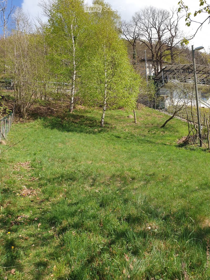 Lush green garden with grass, trees, and a small structure in the background.
