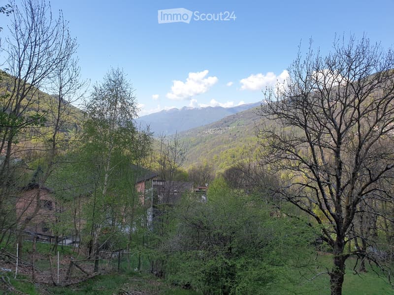 A scenic outdoor view of a rural area with trees, a small house, and distant mountains under a clear blue sky.