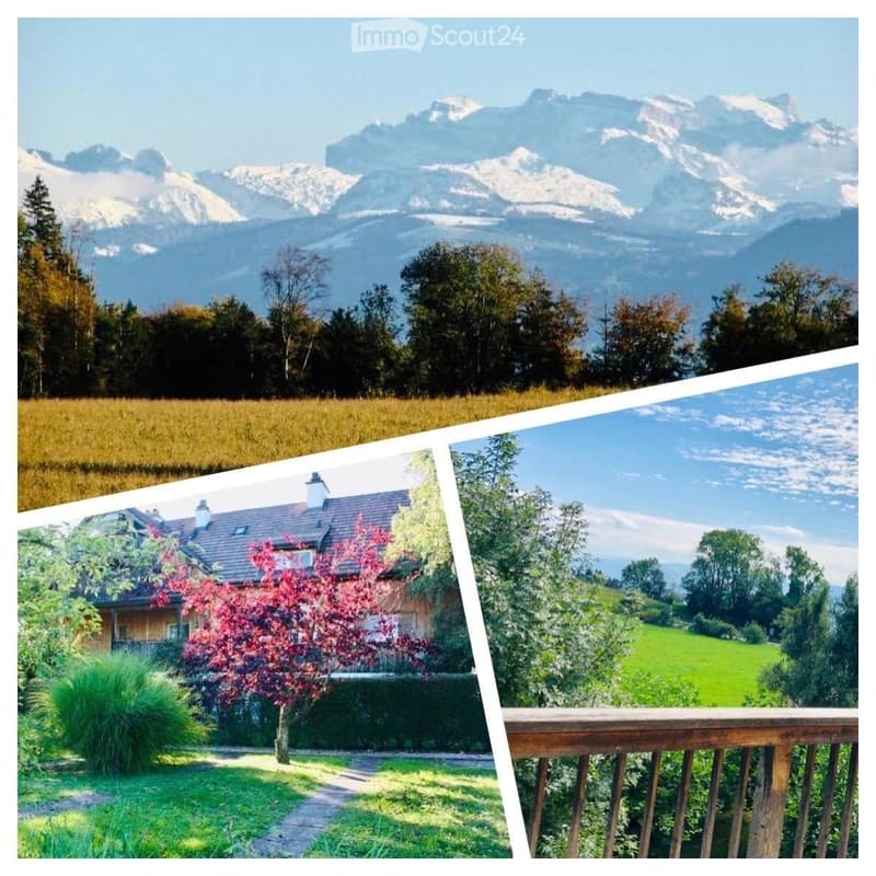 A collage of four images showcasing a scenic mountain landscape, a grassy field, a wooden house with a garden, and a wooden balcony overlooking a green meadow.
