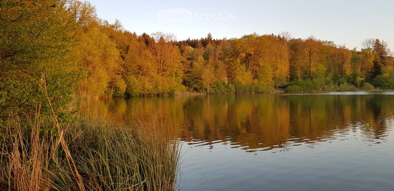 A serene lake surrounded by autumn-colored trees, with reflections of the foliage on the water's surface.