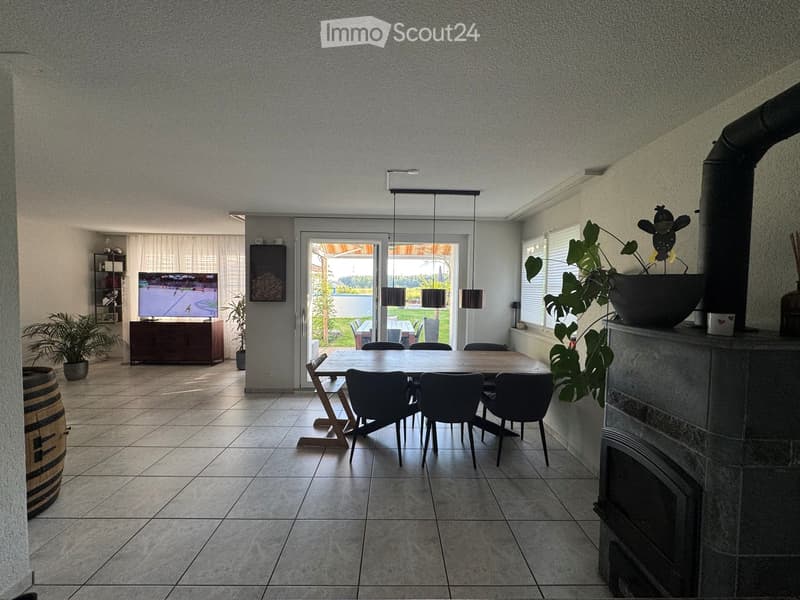 Open-plan living and dining area with a fireplace, dining table, chairs, TV, and plants.