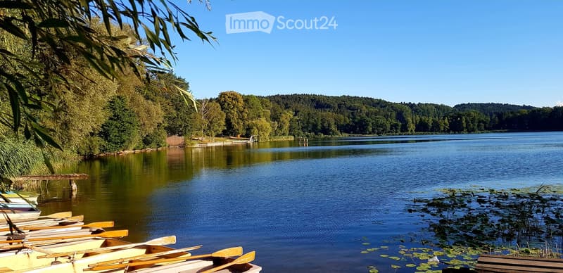 A serene lakeside scene with several small boats docked along the shore, surrounded by lush green trees and a clear blue sky.