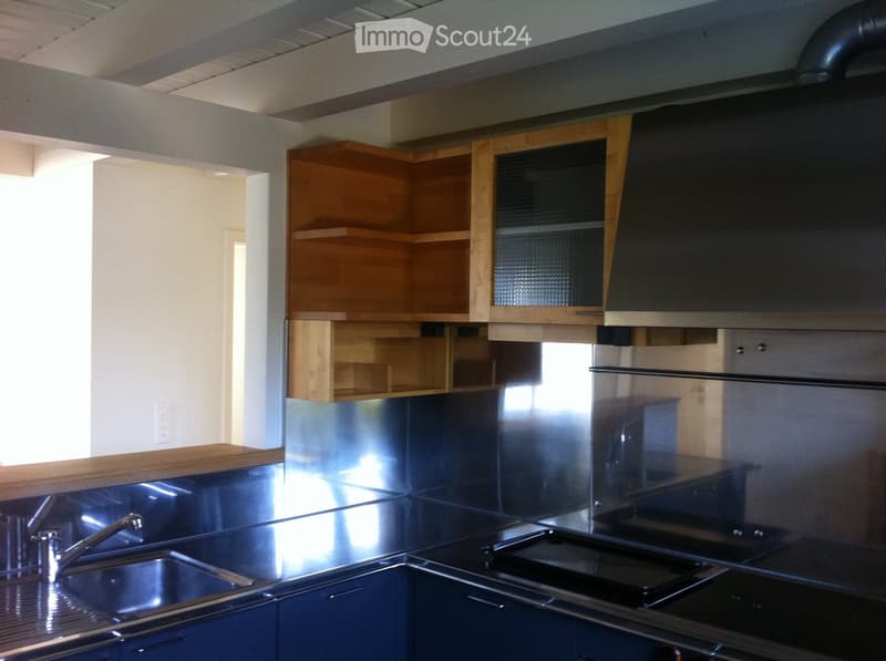 Modern kitchen with stainless steel sink, faucet, wooden cabinets, and a stove. The countertops are stainless steel, and the backsplash is also stainless steel.