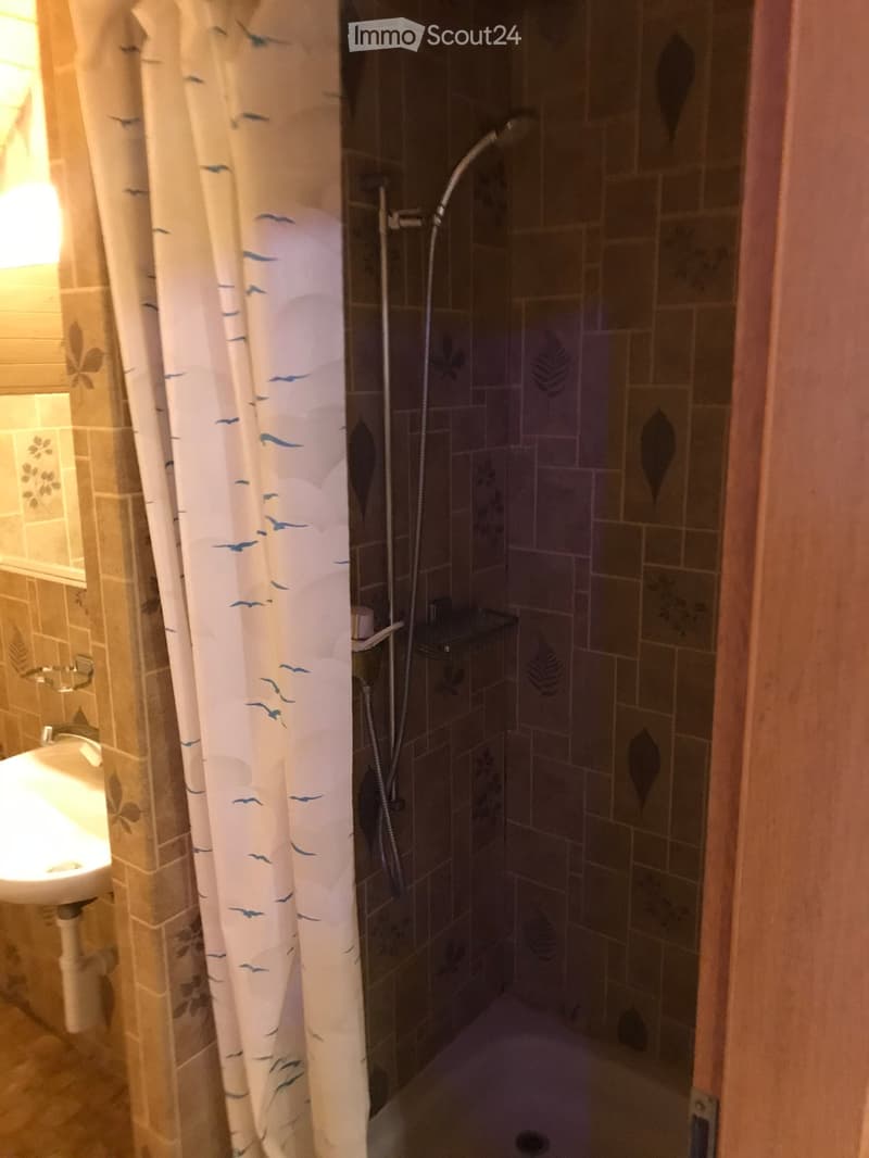 Bathroom with a shower area, a sink, and a shower curtain featuring birds and clouds. The walls are tiled with a leaf pattern.