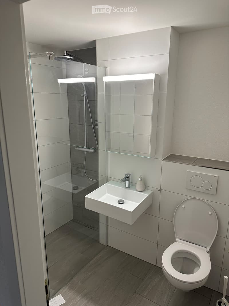 Modern bathroom with a white toilet, sink, and glass-enclosed shower. Features a sleek design with a built-in mirror and illuminated lighting.