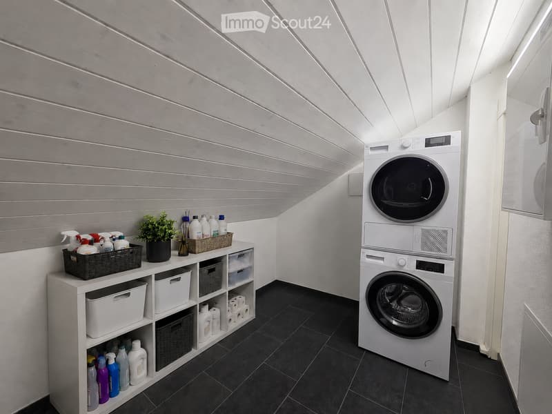 Modern bathroom with a washing machine, storage unit, cleaning supplies, toilet paper, and a small plant on the shelf.