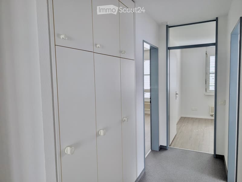 Modern hallway with white built-in wardrobes, grey carpeted floor, and open doors leading to adjacent rooms.