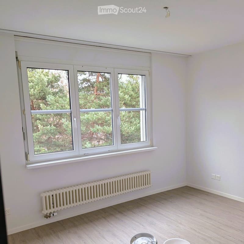 Empty room with light-colored walls, wooden flooring, large windows with white frames, and a radiator below the windows.