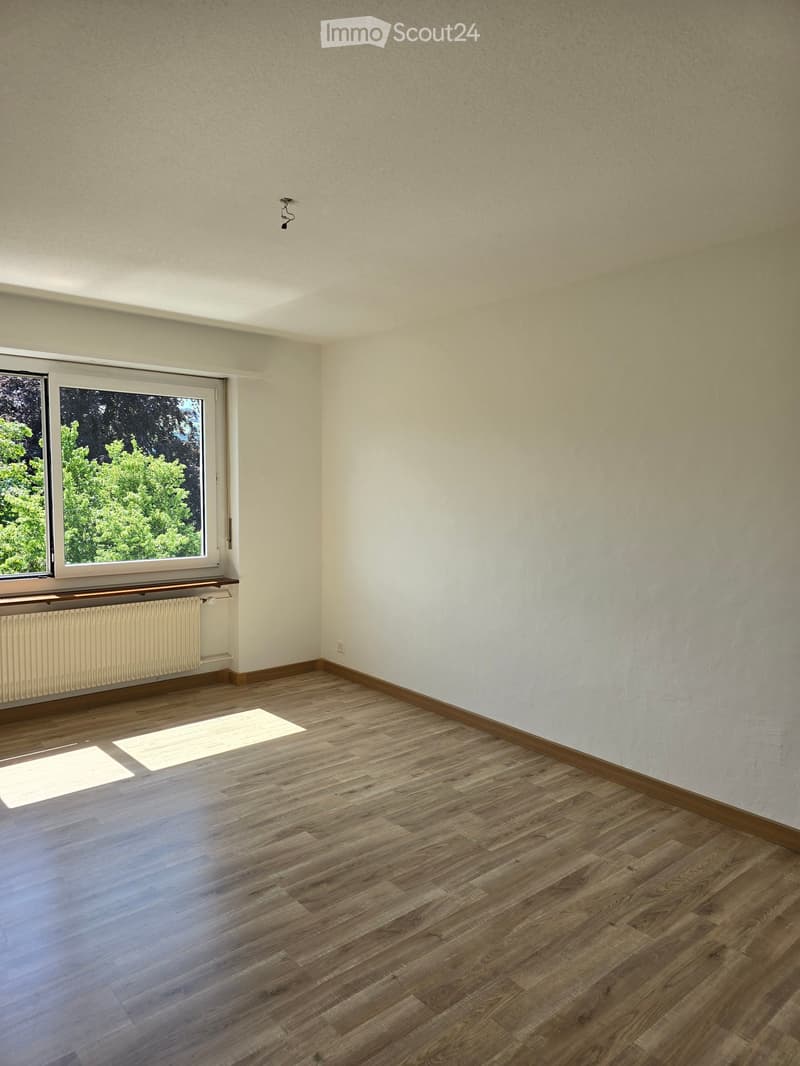 Empty room with wooden flooring, white walls, and a large window with a view of greenery. There is a radiator below the window and a small electrical outlet on the wall.