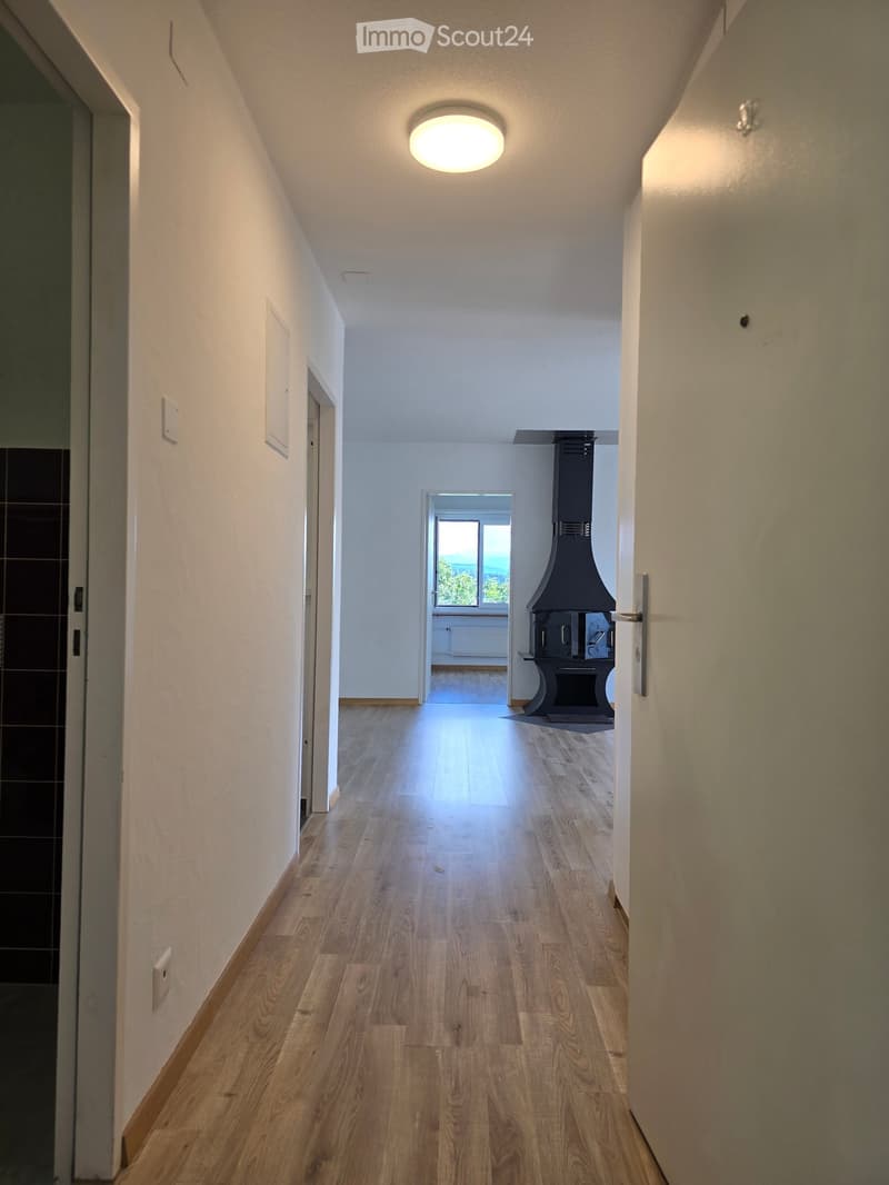 A well-lit hallway with wooden flooring, white walls, and a ceiling light fixture. The hallway leads to a room with a fireplace and a window offering a scenic view.