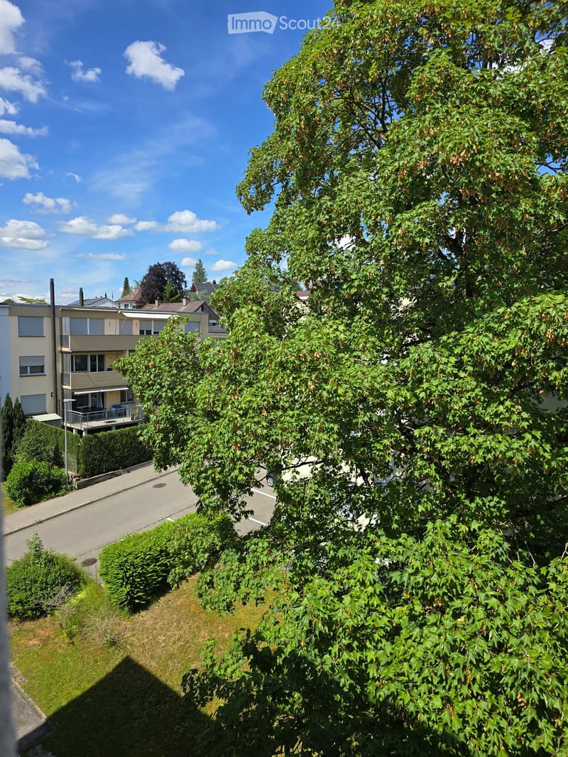 A view of a residential area with a large tree in the foreground, houses, and a driveway.