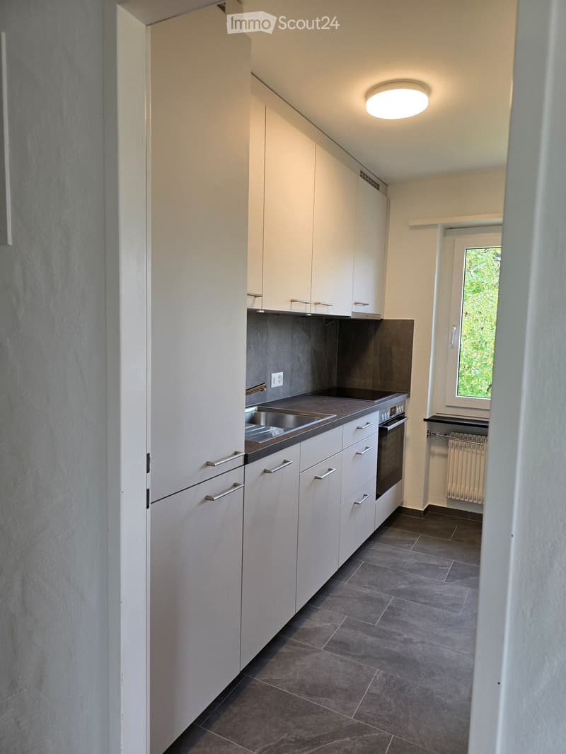 Modern kitchen with white cabinets, stainless steel sink, oven, and radiator near the window.