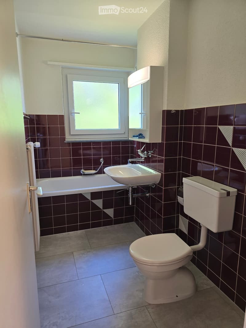 Bathroom with dark brown tiles, a bathtub, a sink, and a toilet. Features a window with frosted glass and a built-in shelf above the sink.