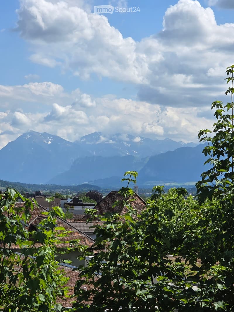 A scenic view of a mountainous landscape with a town in the foreground, partially obscured by green foliage.