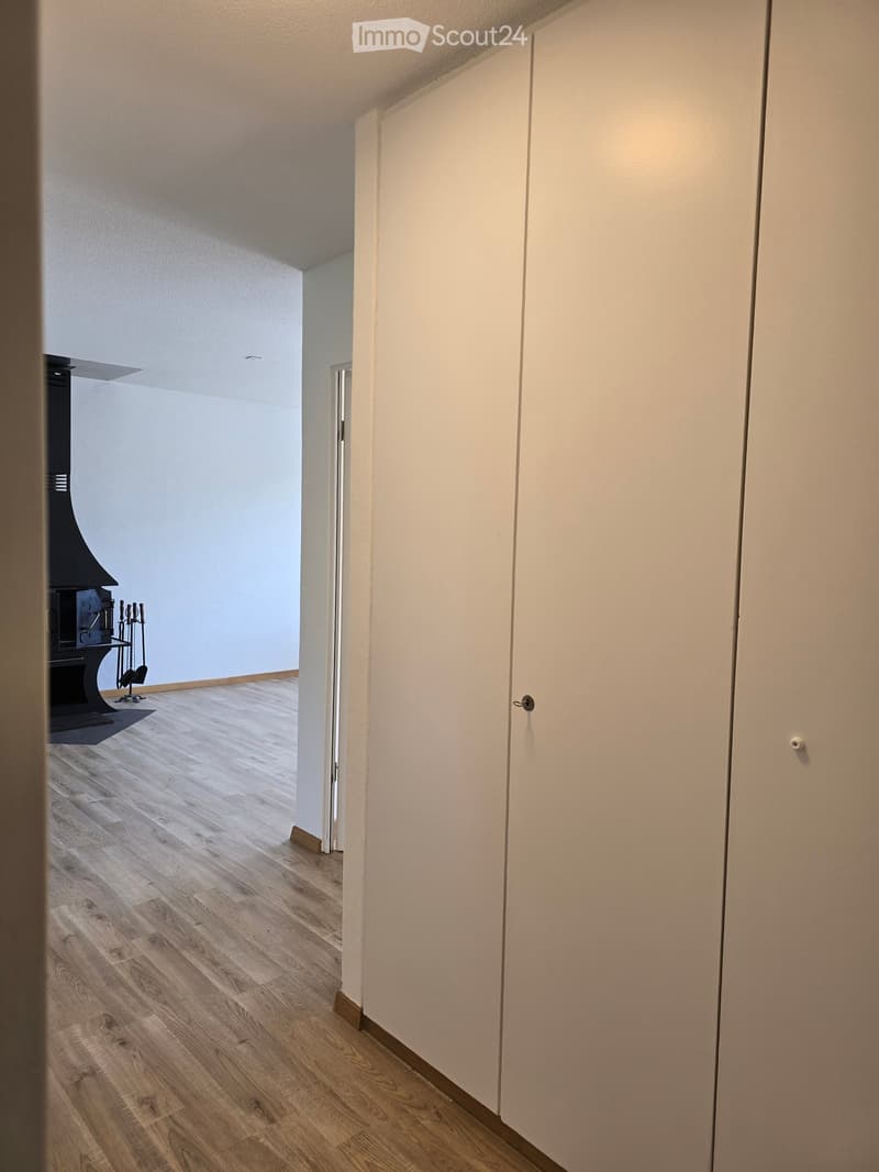Empty hallway with light wooden flooring, white walls, and closed doors on both sides.