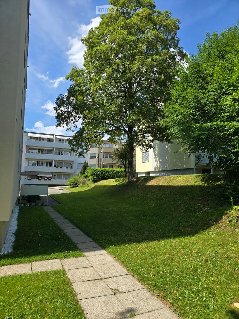 A well-maintained garden area with a concrete pathway, green grass, and several trees, surrounded by residential buildings with balconies and windows.